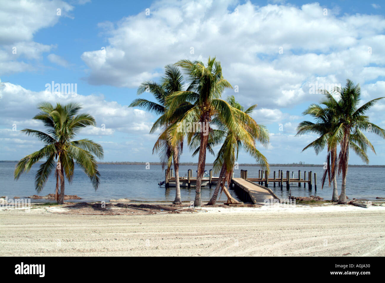 Useppa Key auf Pine Island Sound SW Florida fl USA Strand und Palmen Bäume Stockfoto