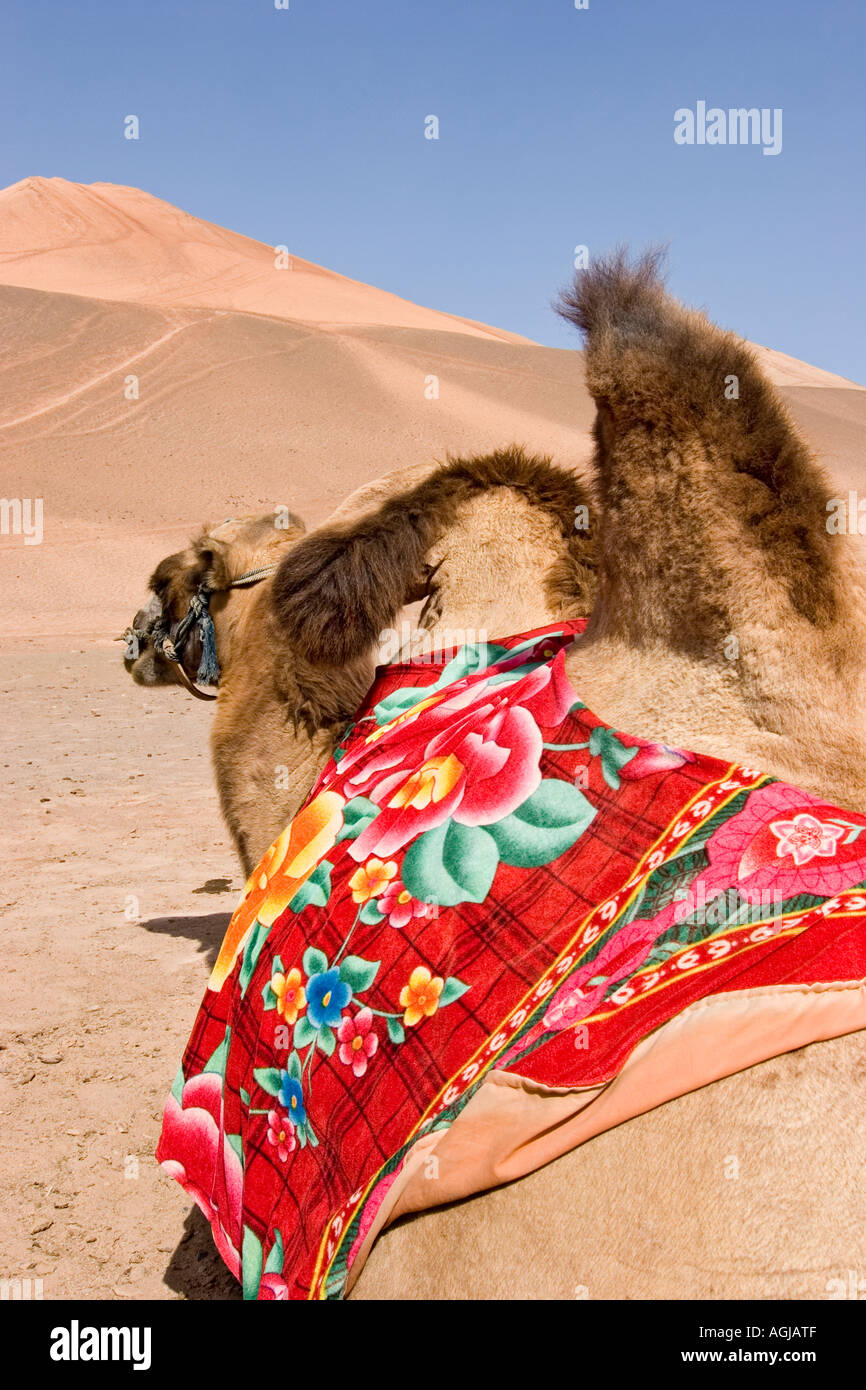 Asien China Kamel in den flammenden Bergen in der Gobi-Wüste in der Nähe von Turfan silkroad Stockfoto