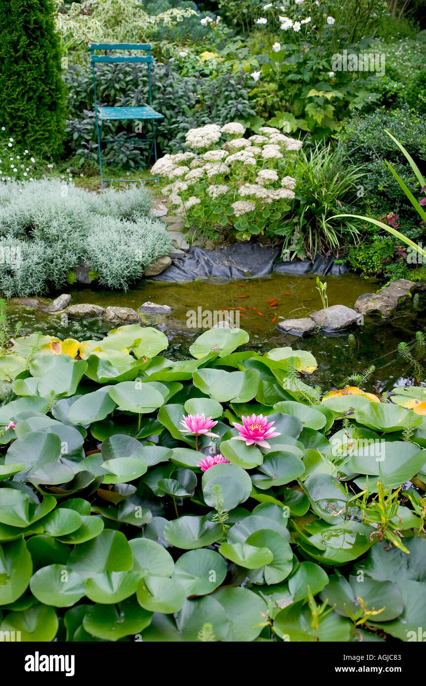 GARTENTEICH MIT BLÜHENDEN SEEROSEN PFLANZEN BRETAGNE FRANKREICH EUROPA Stockfoto