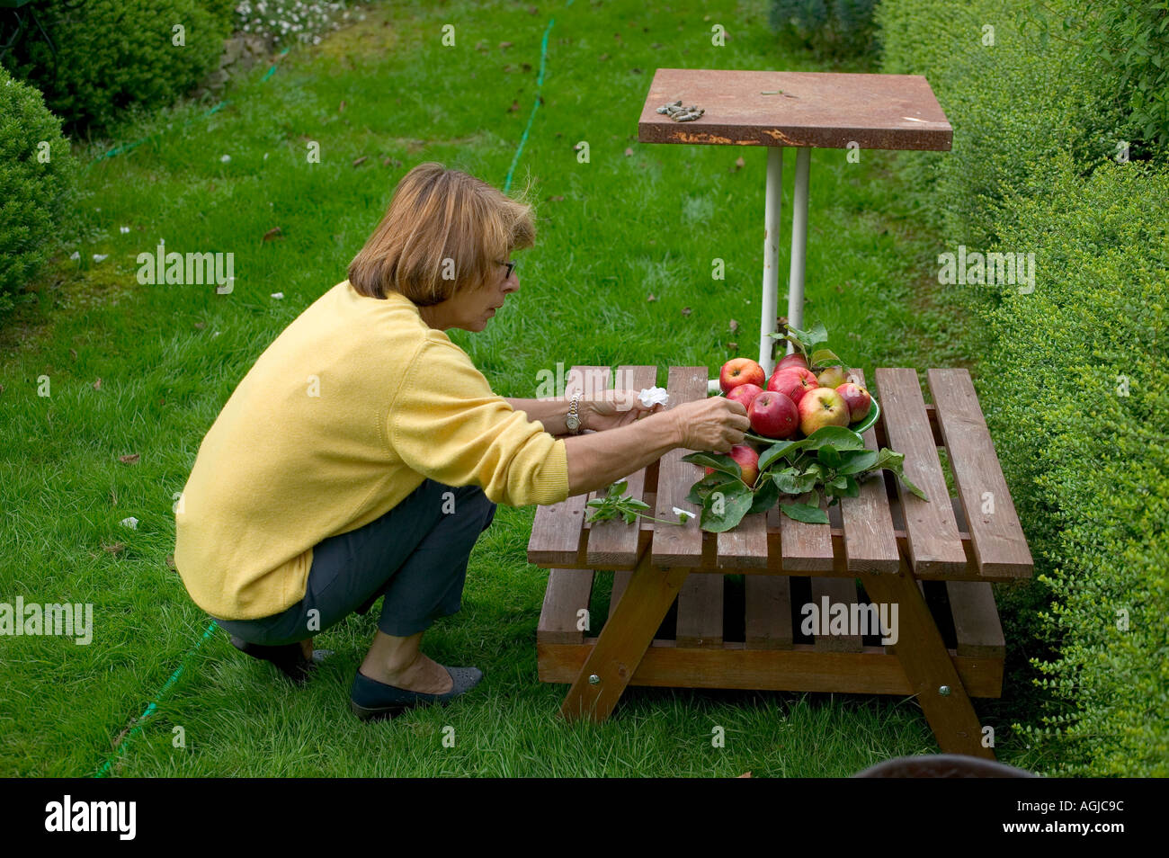 FRAU ANZEIGE HERBSTFRÜCHTE IN EINE SCHÜSSEL BRETAGNE FRANKREICH Stockfoto