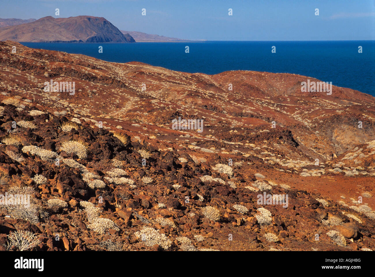 Vulkanische Felsen am Golf von Kalifornien (Sea of Cortez), in der Nähe von Puertecitos in Baja California, Mexiko Stockfoto