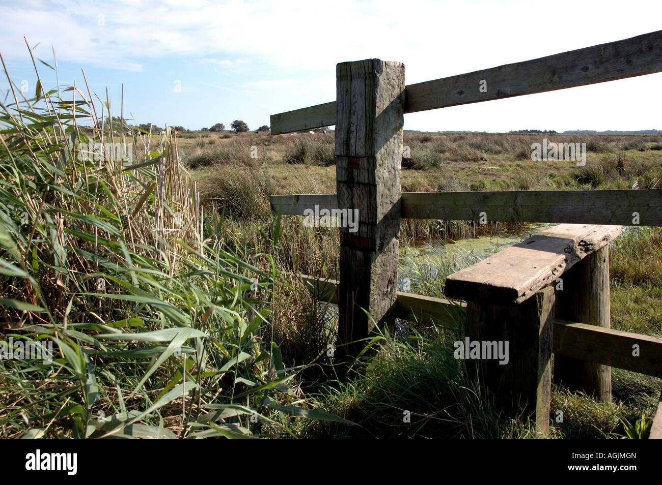 Stil in der Broads National Park in der Nähe von Horsey, Norfolk Stockfoto