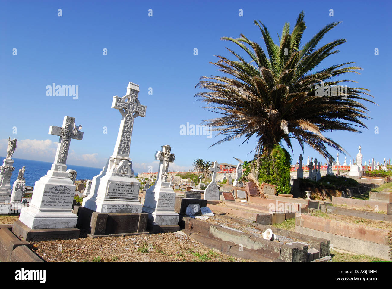 Waverley Cemetery Sydney Stockfoto