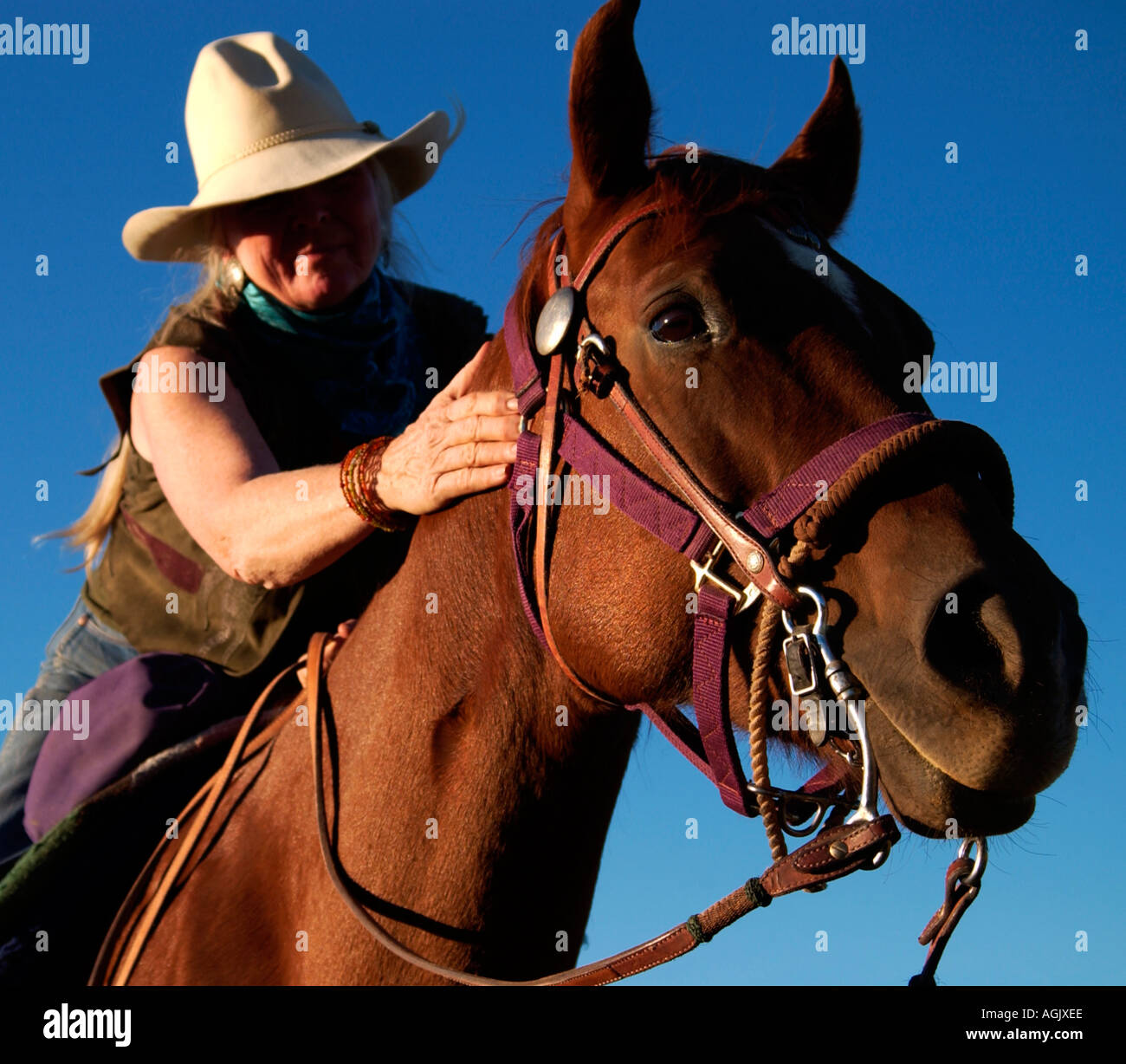 Cowgirl Cowboy Hut tätschelte ihren braunes Pferd Santa Fe, New Mexico, USA, Nordamerika Stockfoto