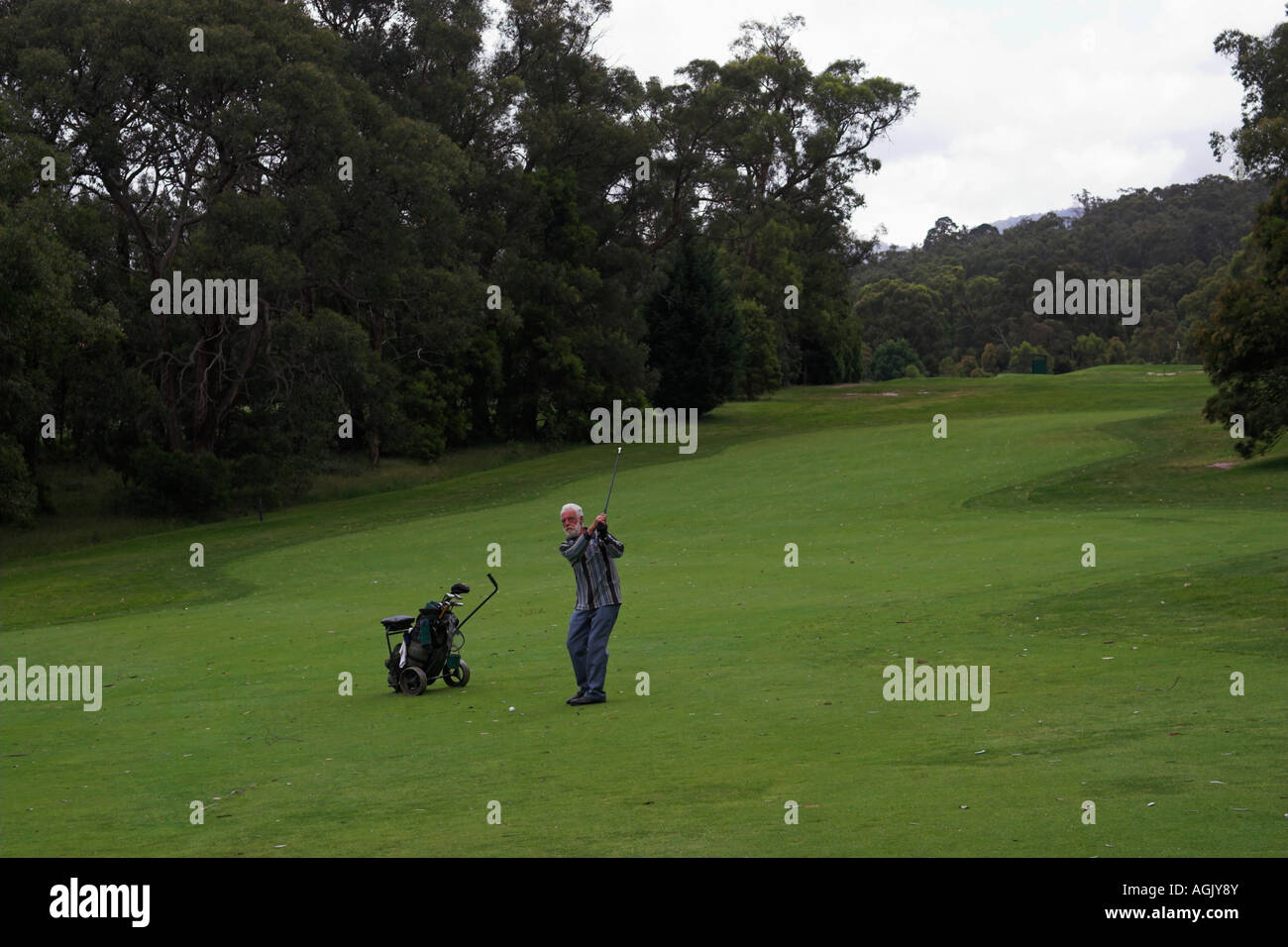 An der RACV Country Club, Healesville, Victoria, Australia Stockfoto