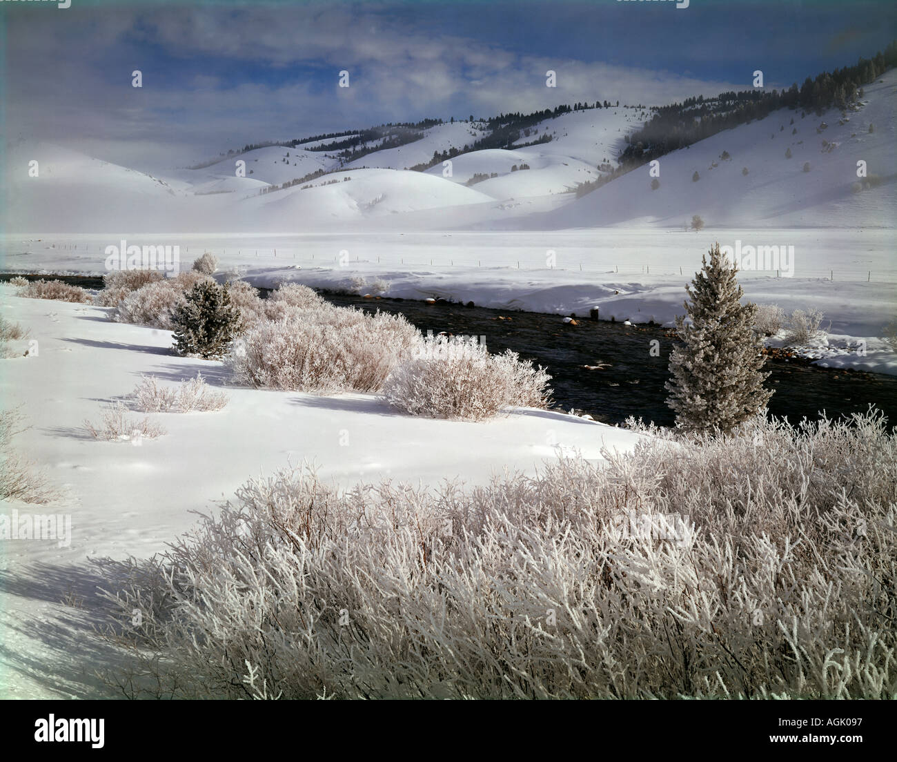 Sägezahn National Recreation Gebiet Idaho wo der Salmon River fließt sanft durch eine eisige Schneelandschaft an einem kalten Wintermorgen Stockfoto