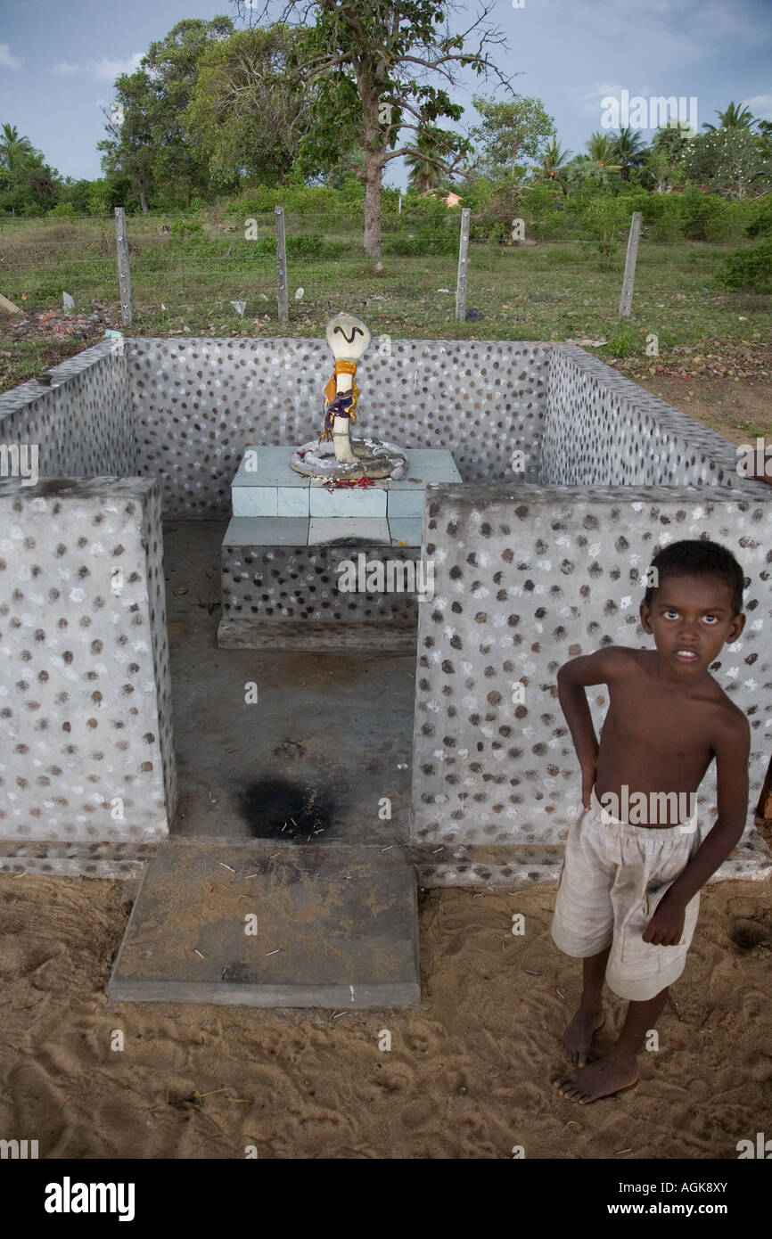 Cobra-Symbole in Tamil Hindutempel Wiederaufbau nach tsunami Stockfoto