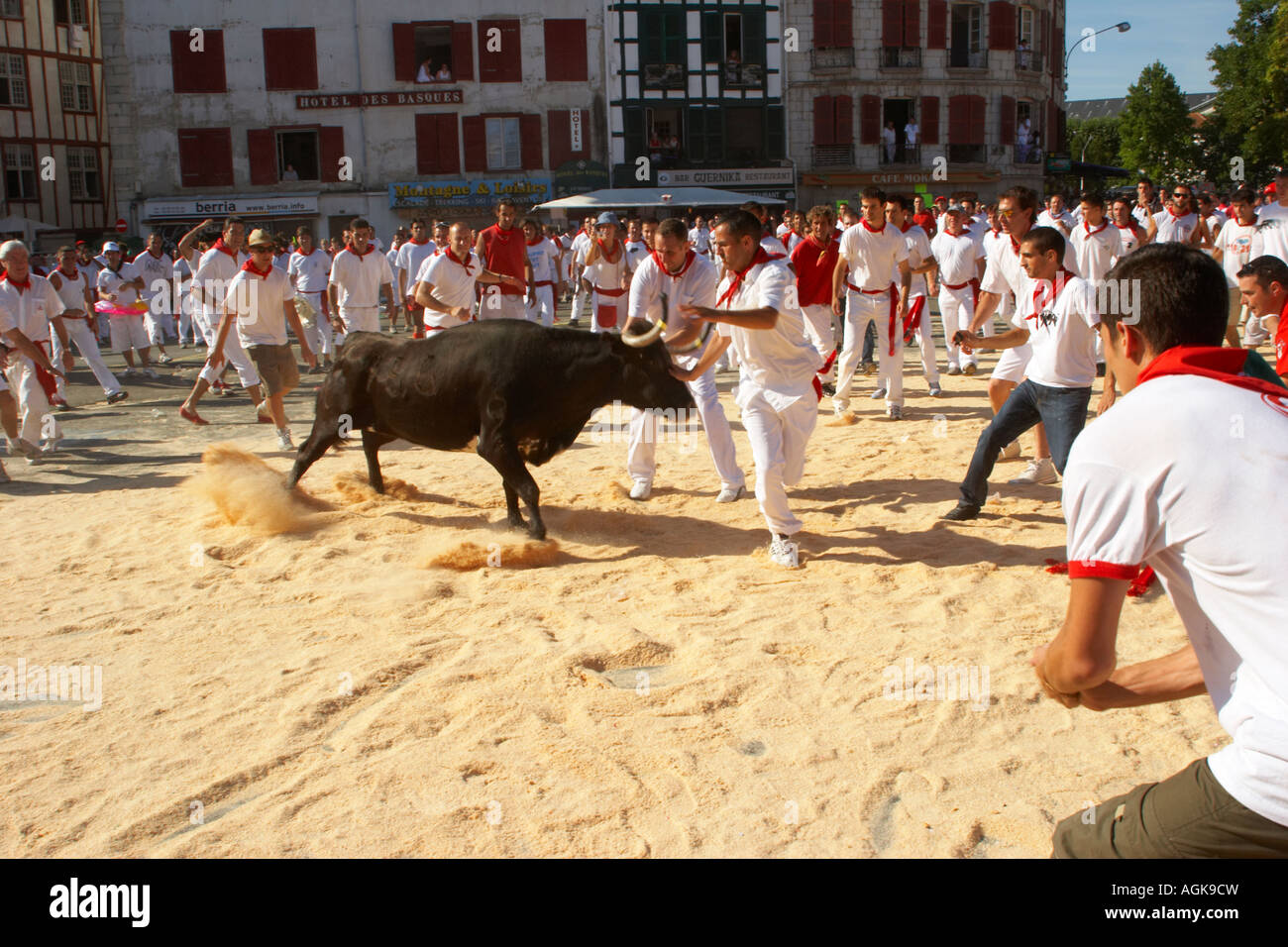 Bayonne Festival august 2007 Frankreich Kuh in der arena Stockfoto