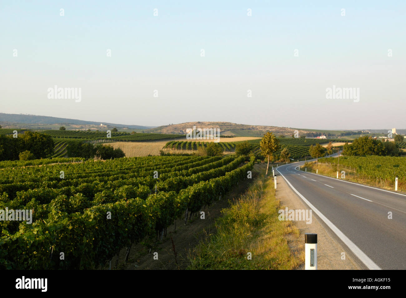 Niederösterreich, Retz Wein-Bereich Stockfoto