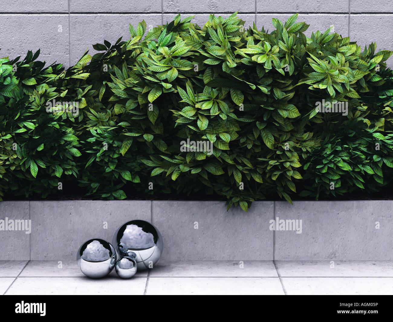 Digital erzeugte Bild zeigt Pflanzen und geometrische Objekte Stockfoto
