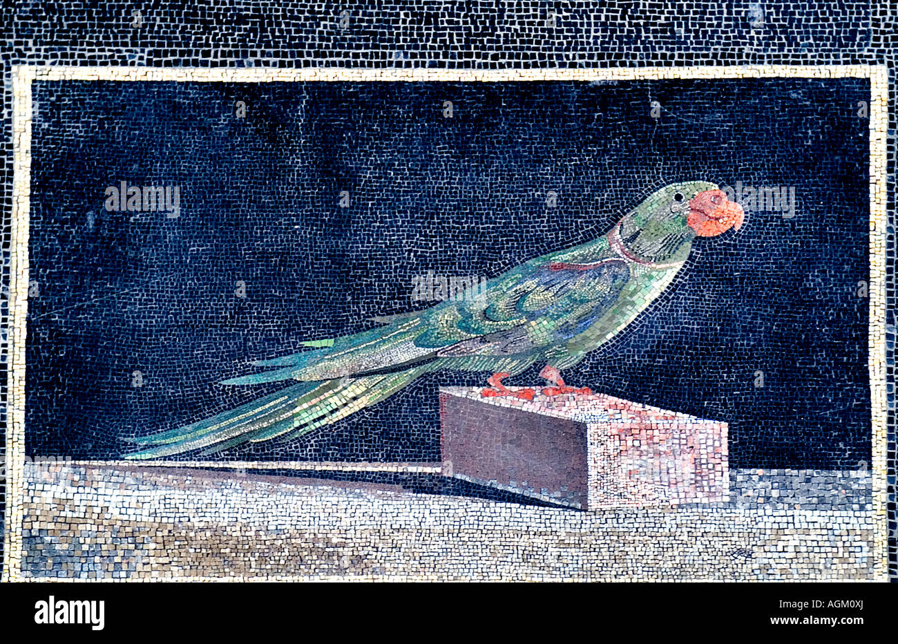 Vogel Mosaik Boden Papagei 200 v. Chr. römische Rom Stockfoto