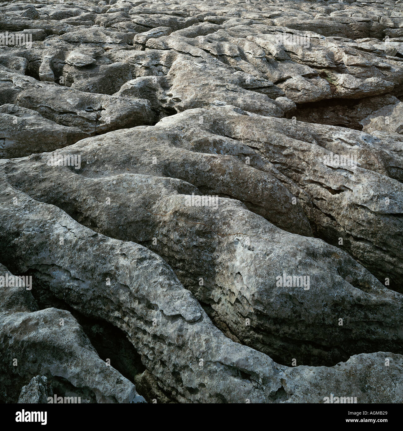 Kalkstein Pflaster Malham Cove Yorkshire Dales Stockfoto