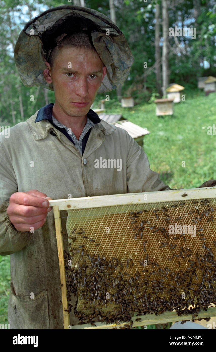 Imker zeigt eine Wabe mit Bienen Stockfoto