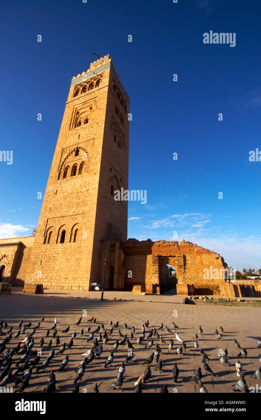 Koutoubia-Moschee mit Tauben, Marrakesch, Marokko Stockfoto