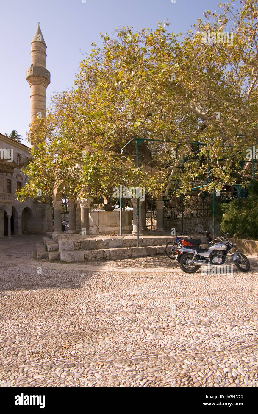 dh KOS STADT GRIECHENLAND KOS Platane Baum von Hippokrates Hajji Hasan Moschee Minarett Platanou Platz defterdar alten griechischen Schule Stockfoto