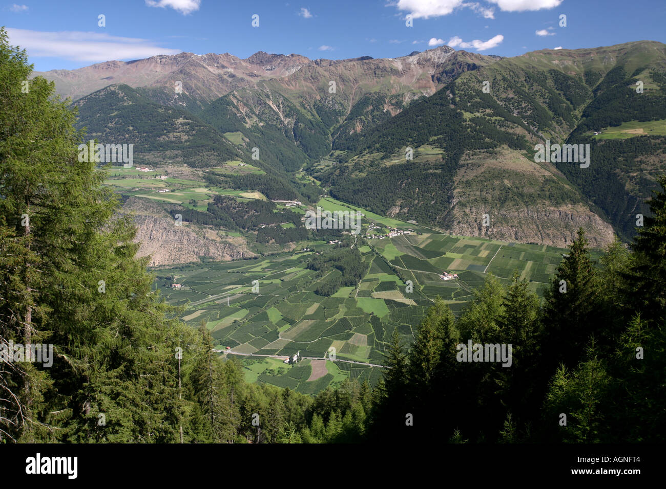 Blick auf die fruchtbaren Schwemmfächer im Vinschgau-Tal. Alto Adige, Italien. Stockfoto