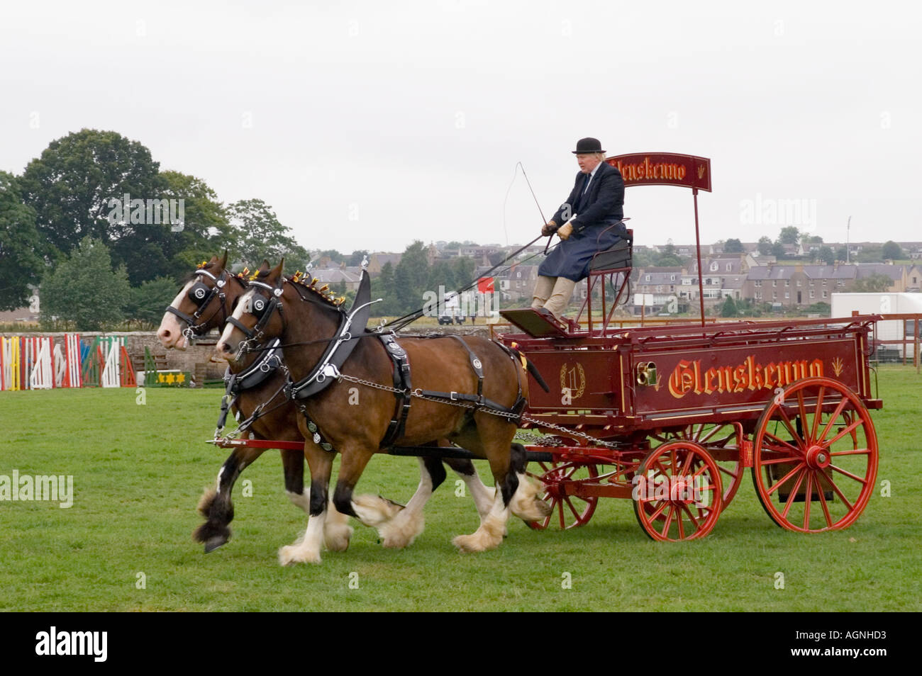 Schweren Pferd Pferdeshow Clydesdale Blockwagen an der Grenze Union Kelso Schottland Stockfoto