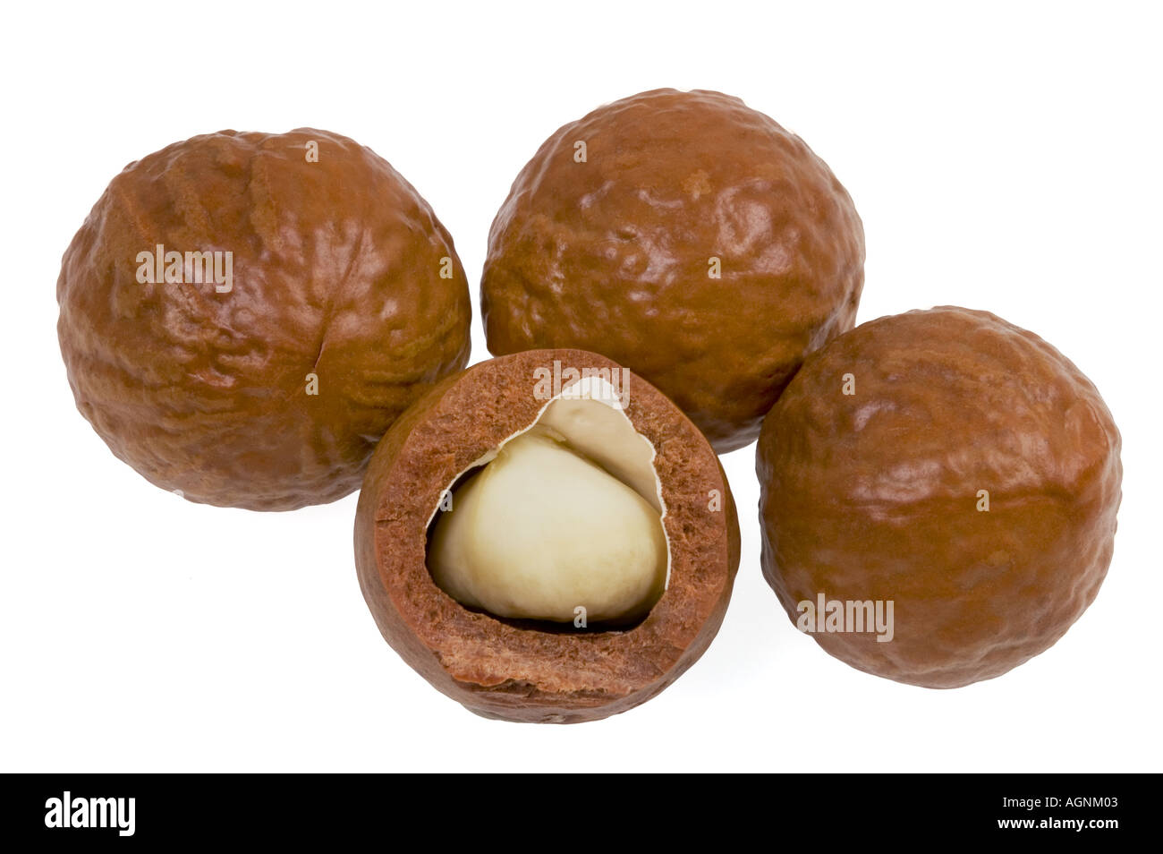 frische Nussschale Schale geschält MACADAMIA-Nuss aus Kenia Kenia Afrika einige Multi viele viel viel Masse Reihe Haufen buch Stockfoto