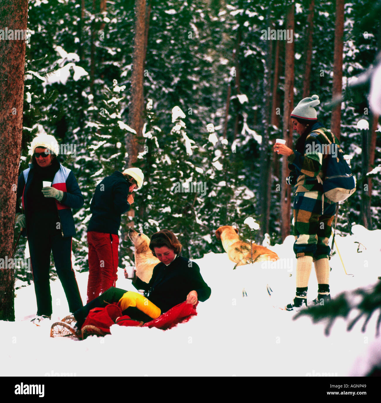 Langläufer Dame eine Pause in einem Wald Stockfoto