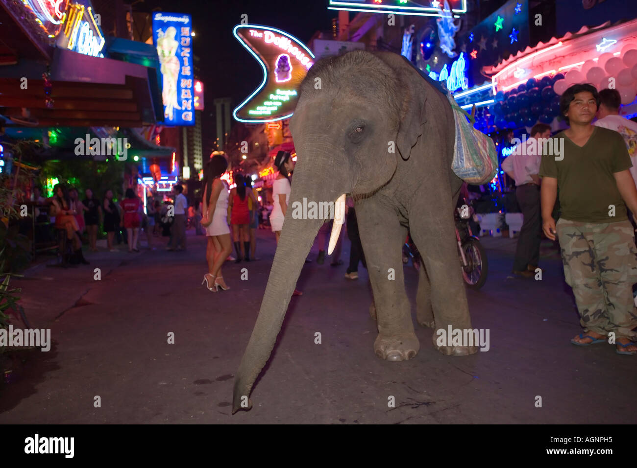 Ein Elefant und Mahout betteln in Soi Cowboy Rotlichtviertel Th Sukhumvit Bangkok Thailand Stockfoto
