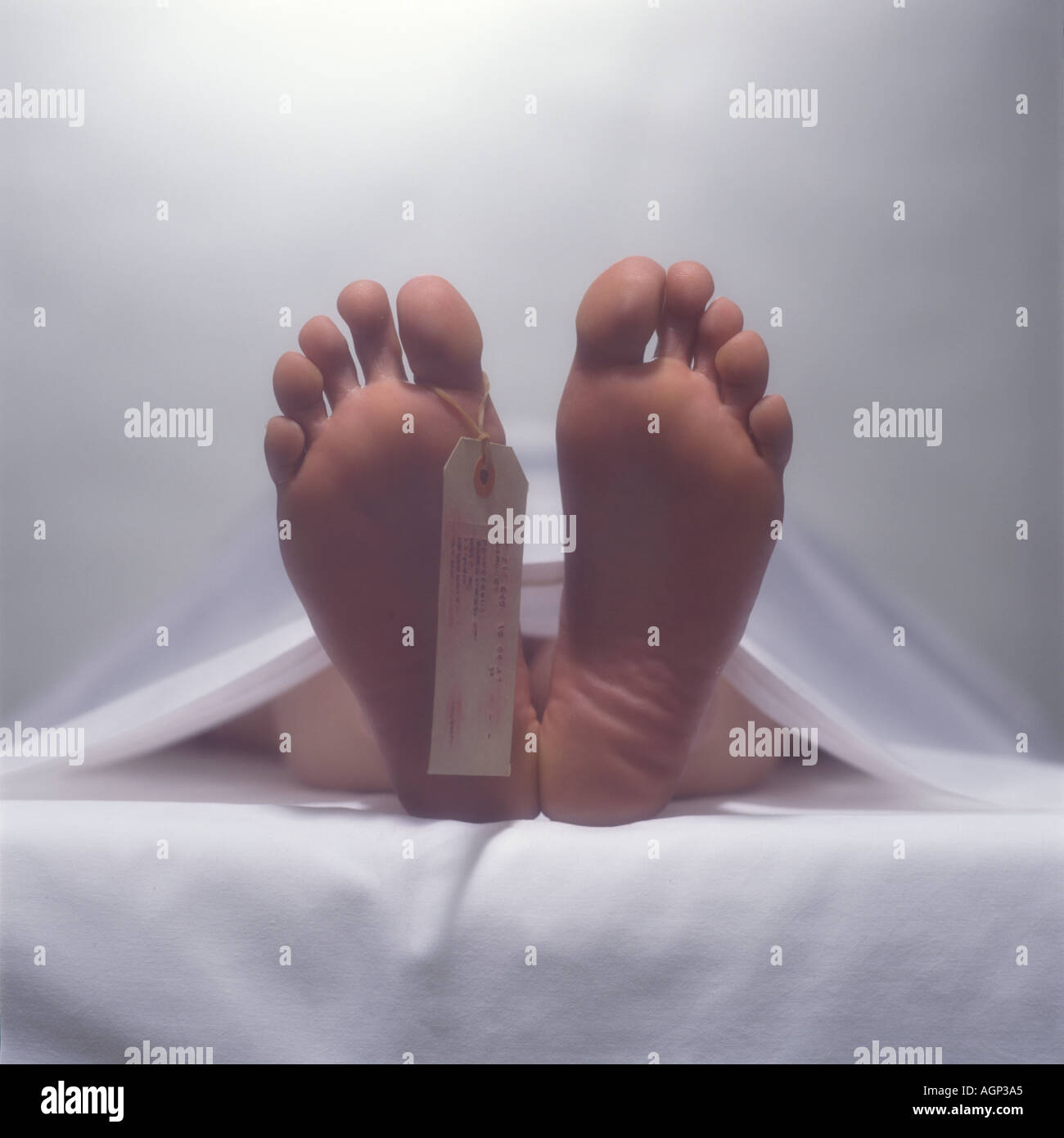 Tote Leiche Stockfoto