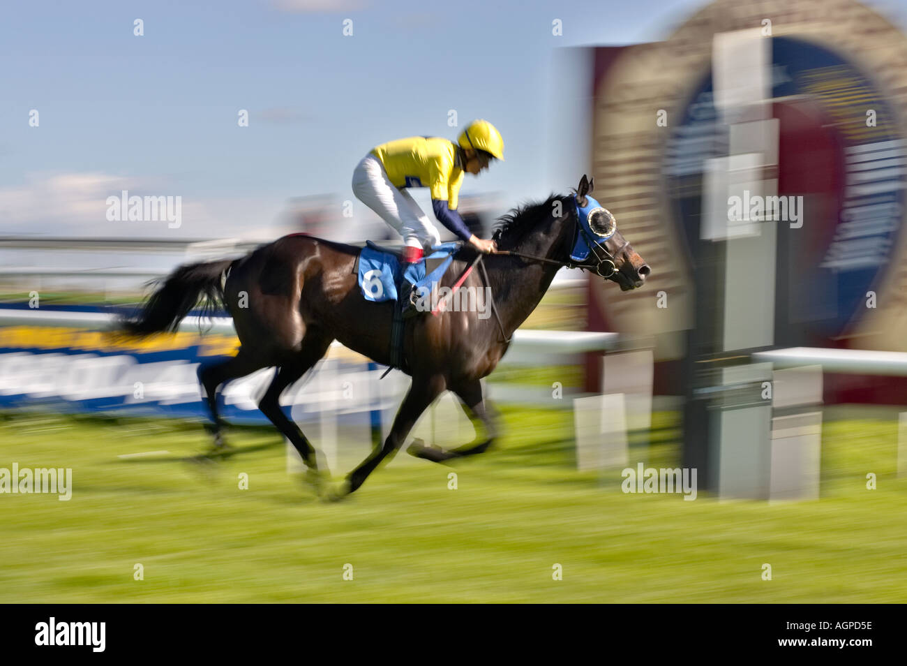 Gewann ein Rennen - Pferderennen in der Schlichten/Winning Post Stockfoto