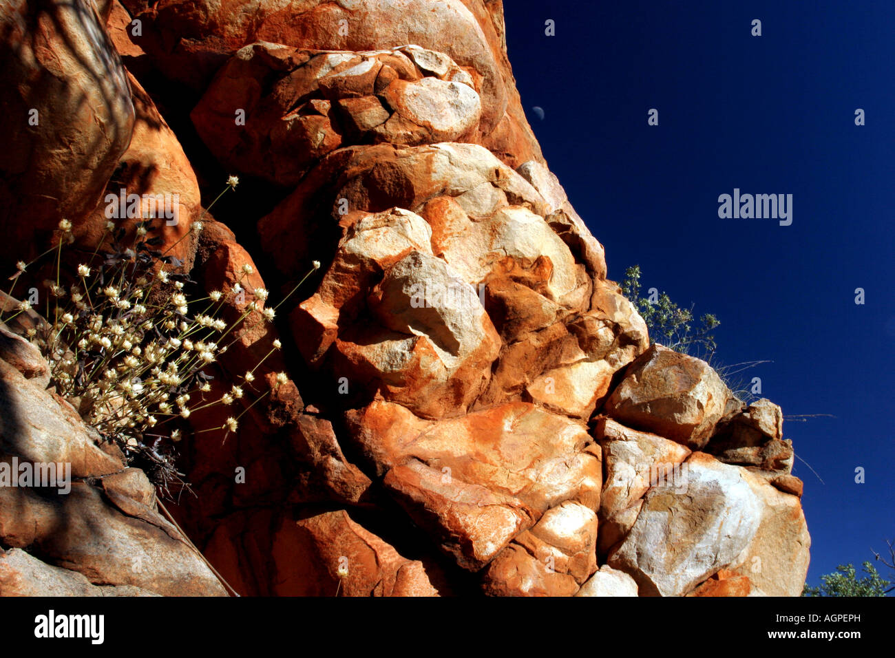 Sandsteinfelsen mit Mond, über die Gibb River Road Kimberley Region, Western Australia Stockfoto