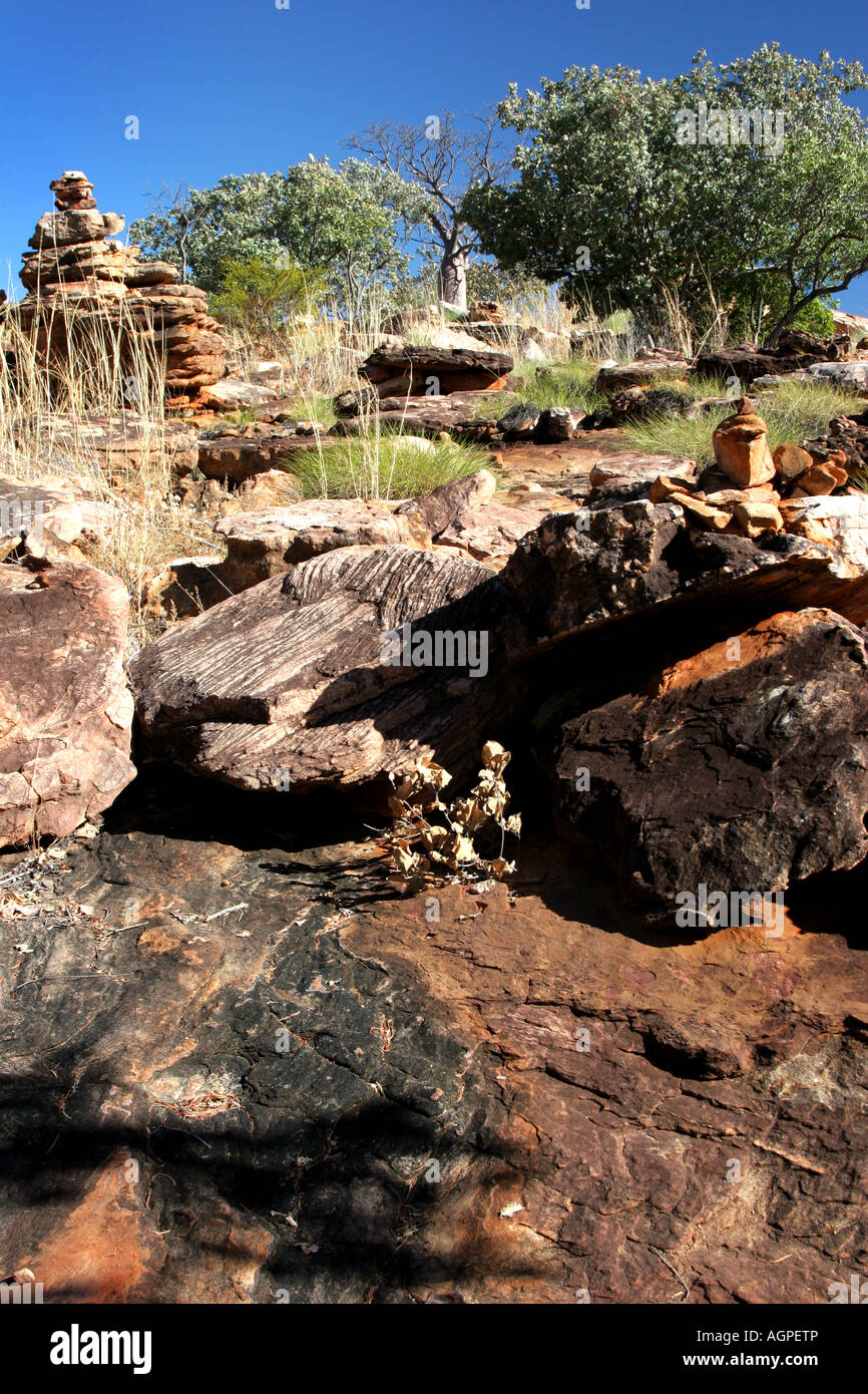 Sandstein, Spinifex Gras- und Boab Baum Landschaft, Manning Gorge Falls, Outback Westaustraliens Stockfoto