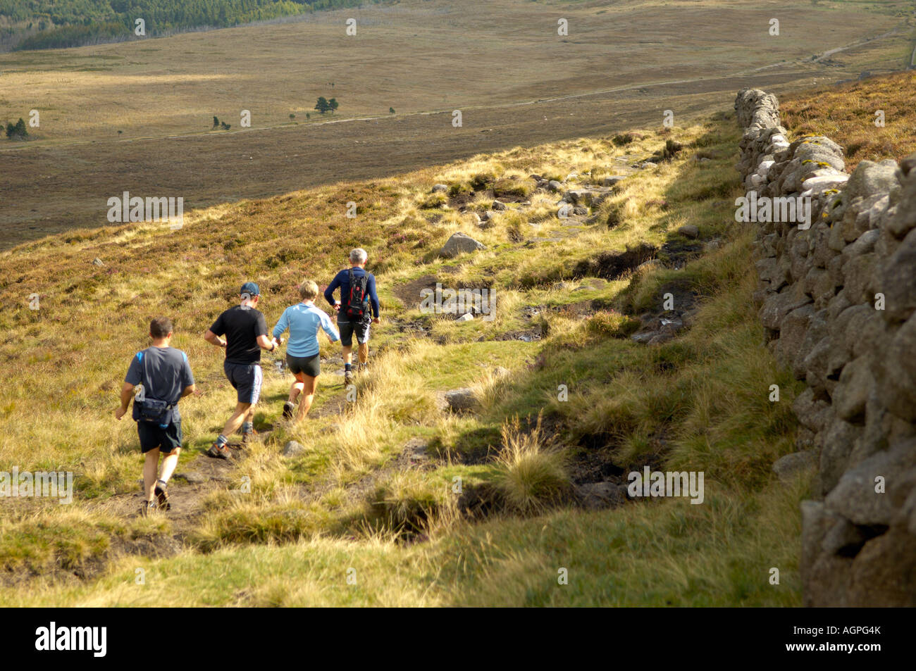 Läufer, die Ausbildung allein Seite der Mourne Wand auf ihrem Weg nach unten von Slieve Binnian Stockfoto