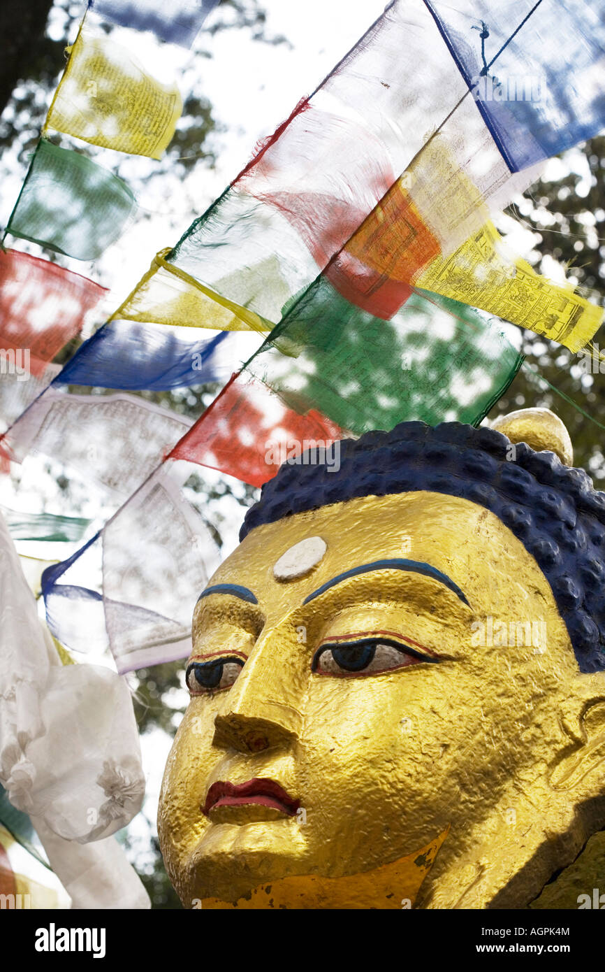 Golden Buddha Gesicht und Gebet Fahnen.  Swayambhu Stupa, Kathmandu, Nepal Stockfoto