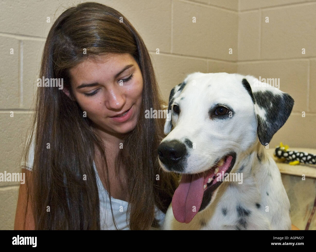 Mädchen bekommen mit Hund im Tierheim vor der Verabschiedung neuer Albany Indiana Stockfoto
