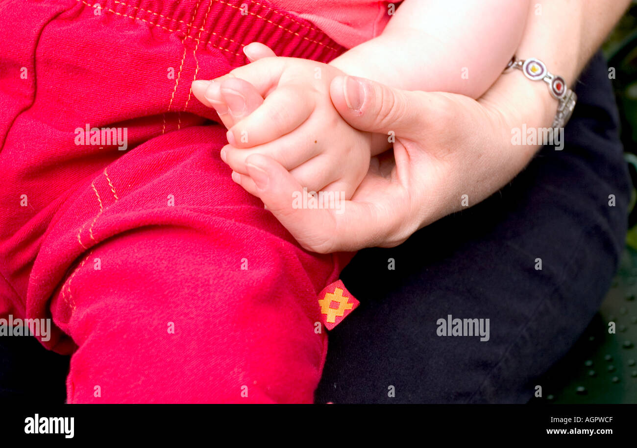 Adult Baby s Hand hält Stockfoto