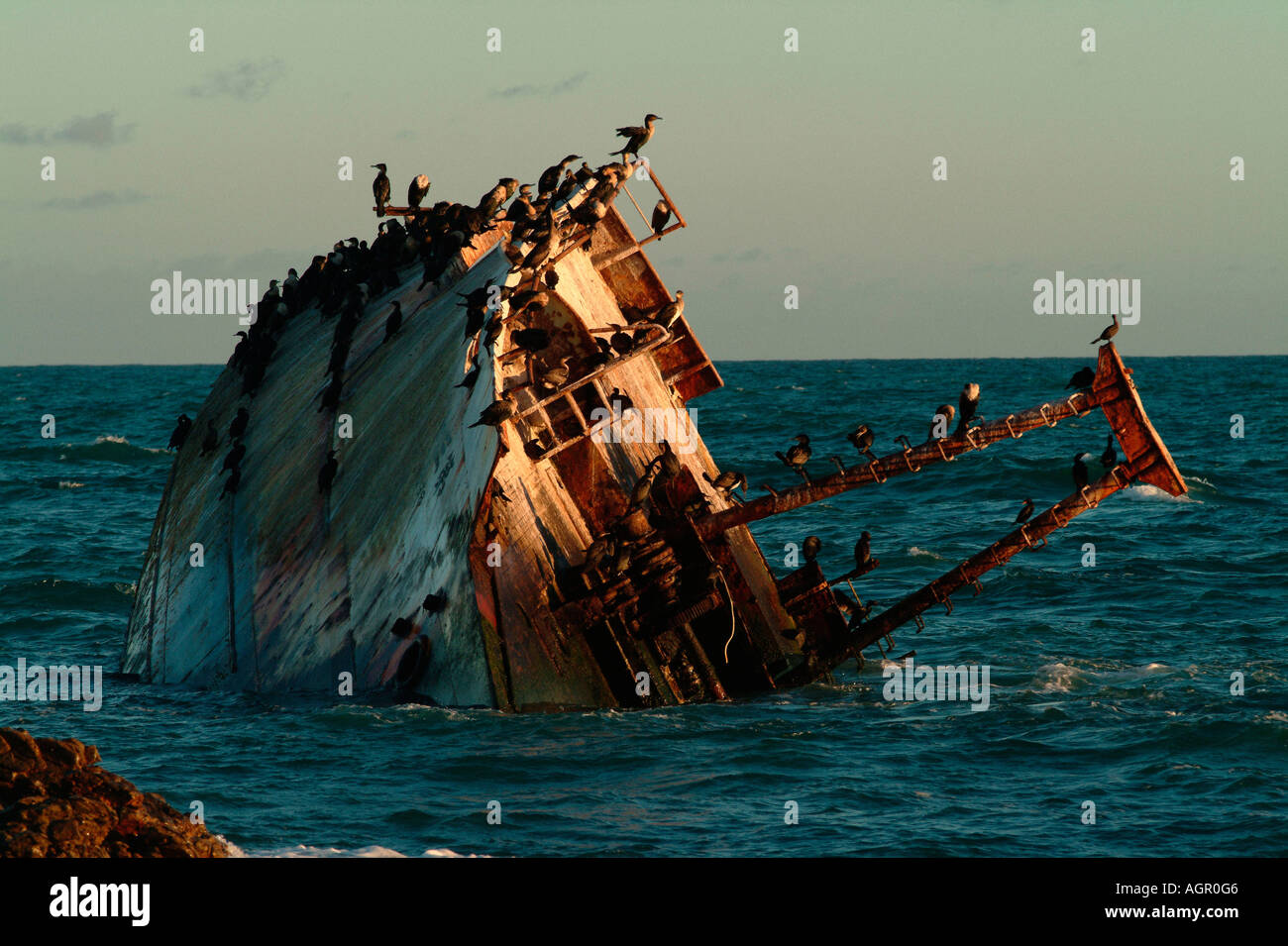 Wrack Stockfoto