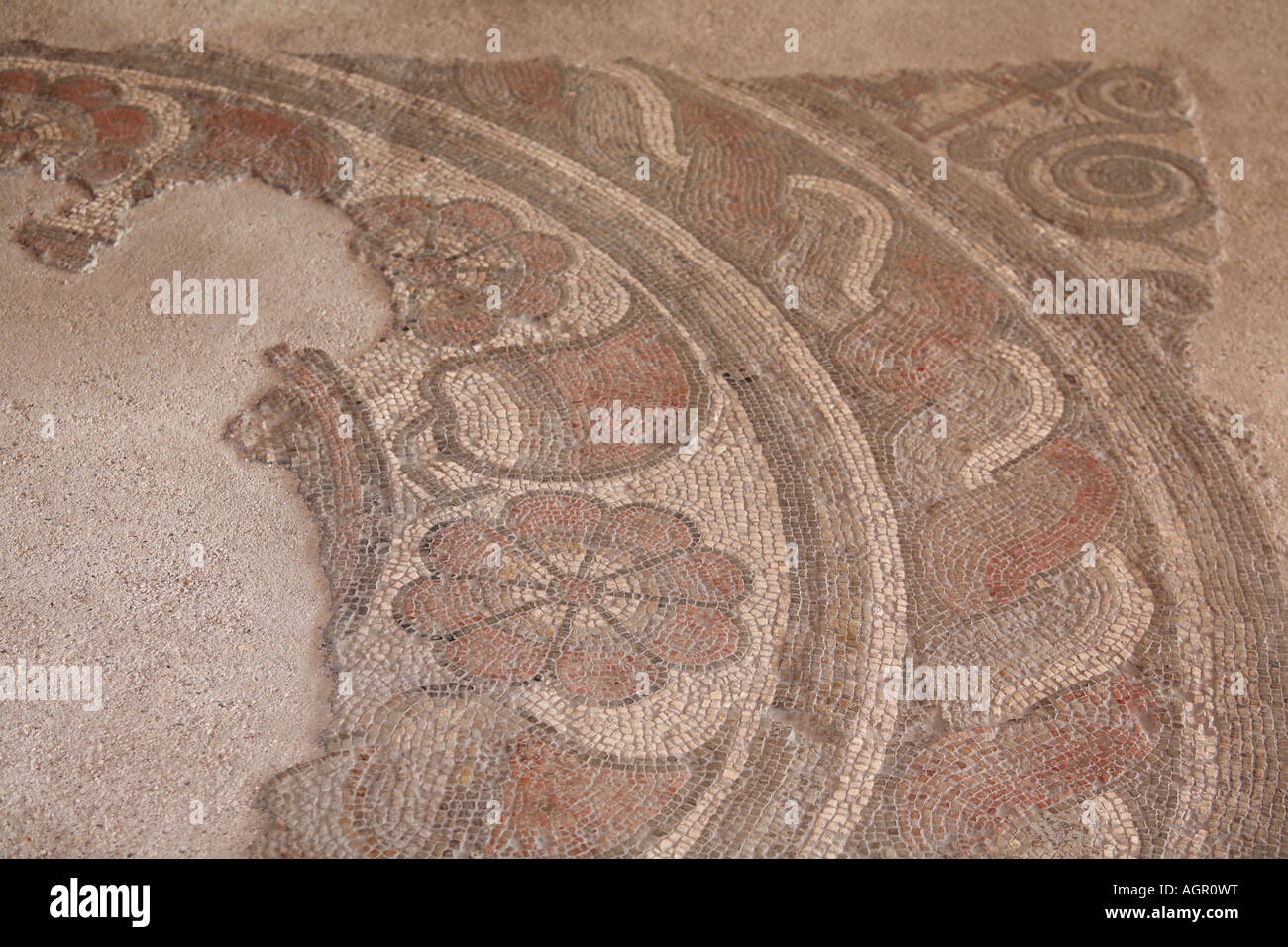 Ein Abschnitt eines Mosaiks mit Blumenboden im Fishbourne Roman Palace, West Sussex, England, Großbritannien Stockfoto
