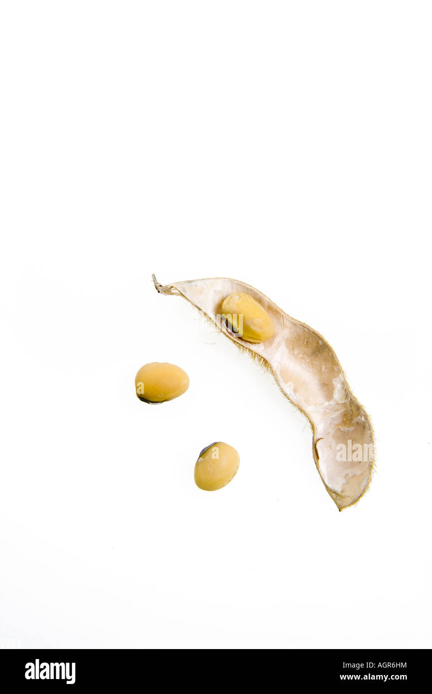 Soja-Hülsen auf weiß Stockfoto