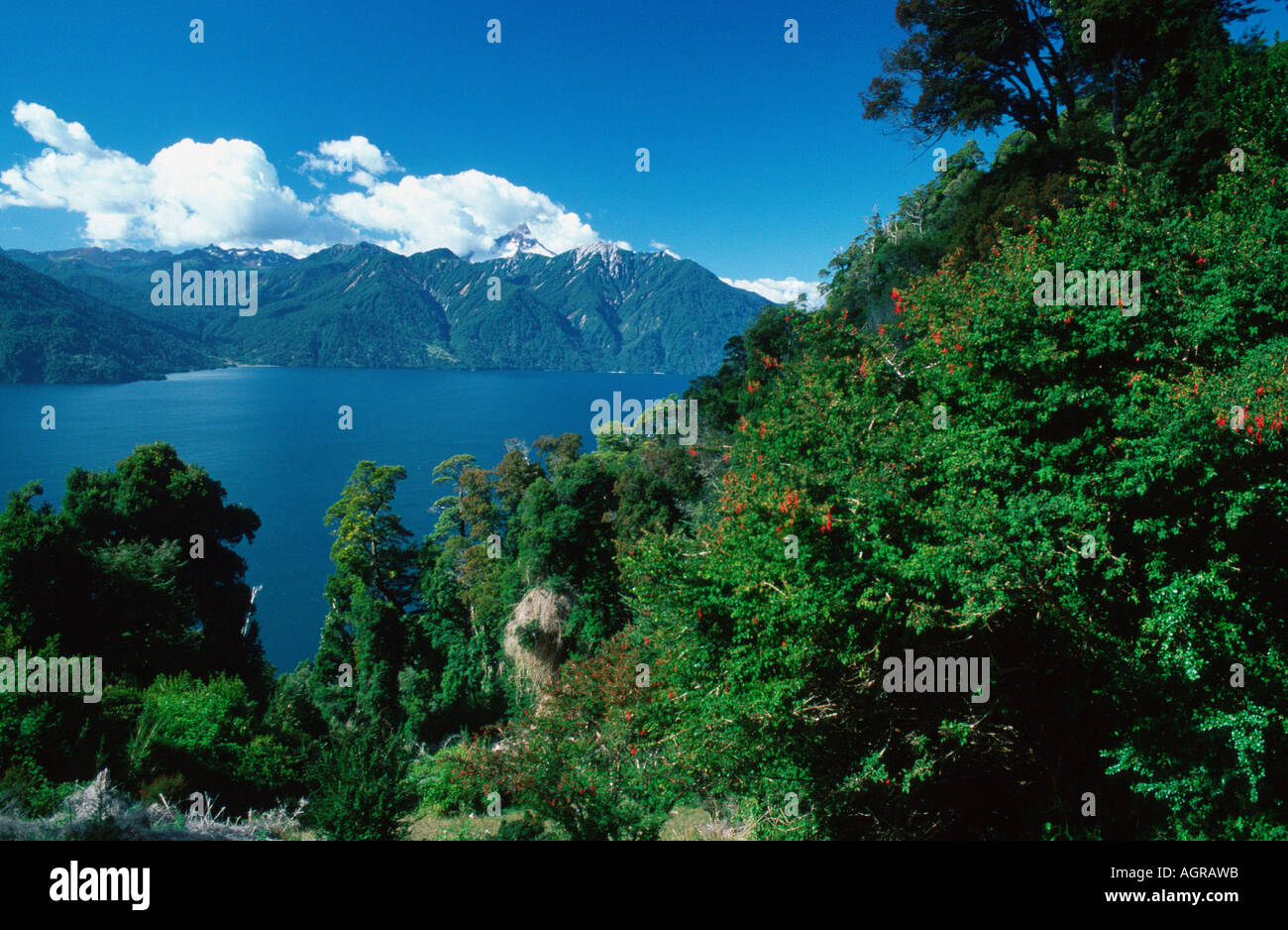 Bergsee / Lago Todos Los Santos / Bergsee Stockfoto