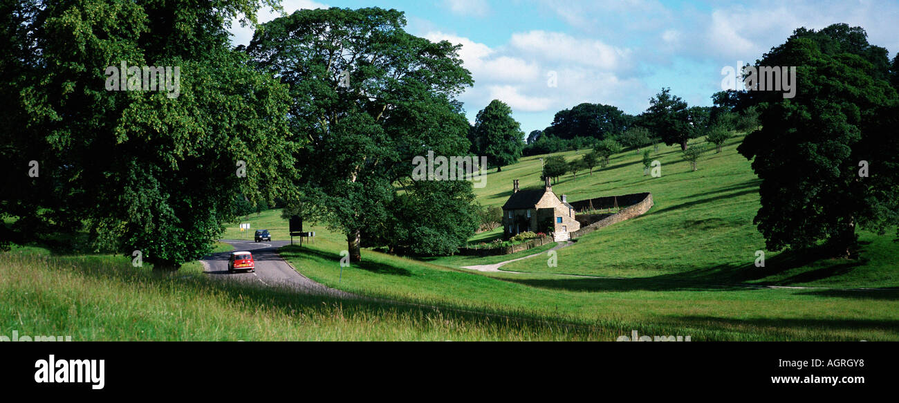 Straße durch Parklandschaft Stockfoto