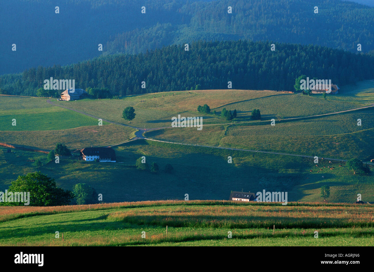 Schwarzwald / Schauinsland Stockfoto