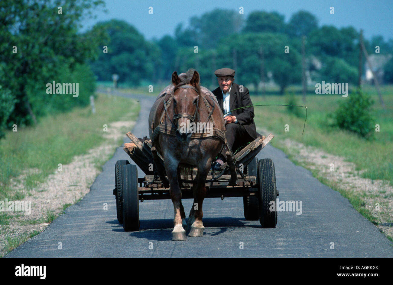 Pferdewagen Stockfoto