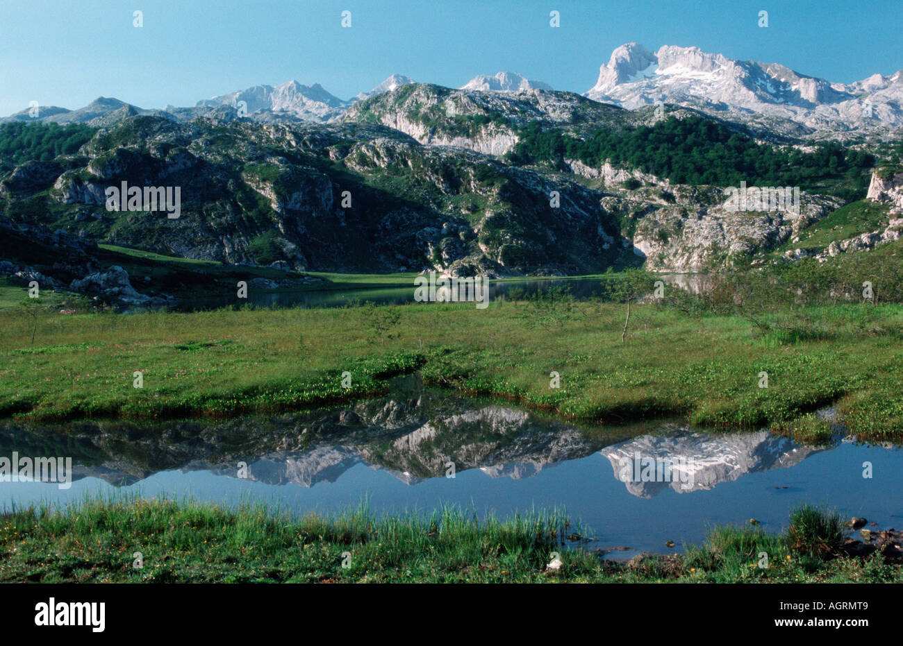 Berg-See / Picos de Europa Stockfoto