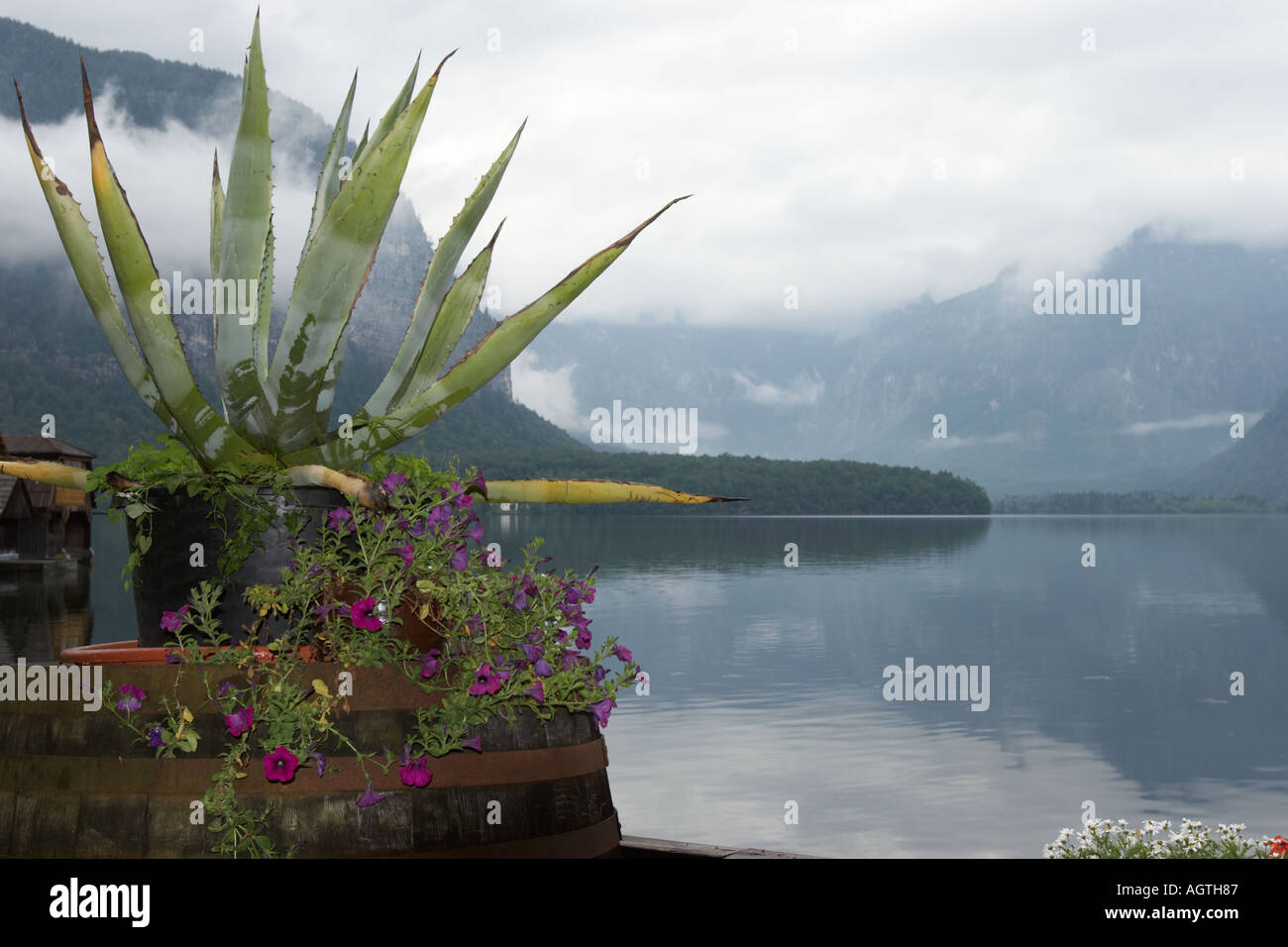 Nebligen Morgen auf den Hallstätter See. Salzkammergut, Österreich. Stockfoto
