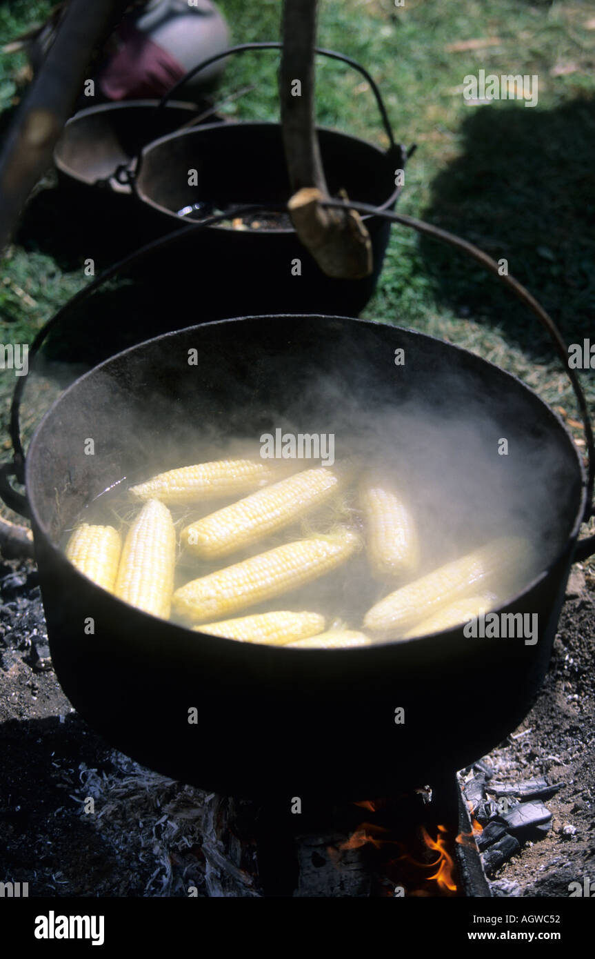 Schmoren Topf mit Mais auf Holzfeuer Stockfoto