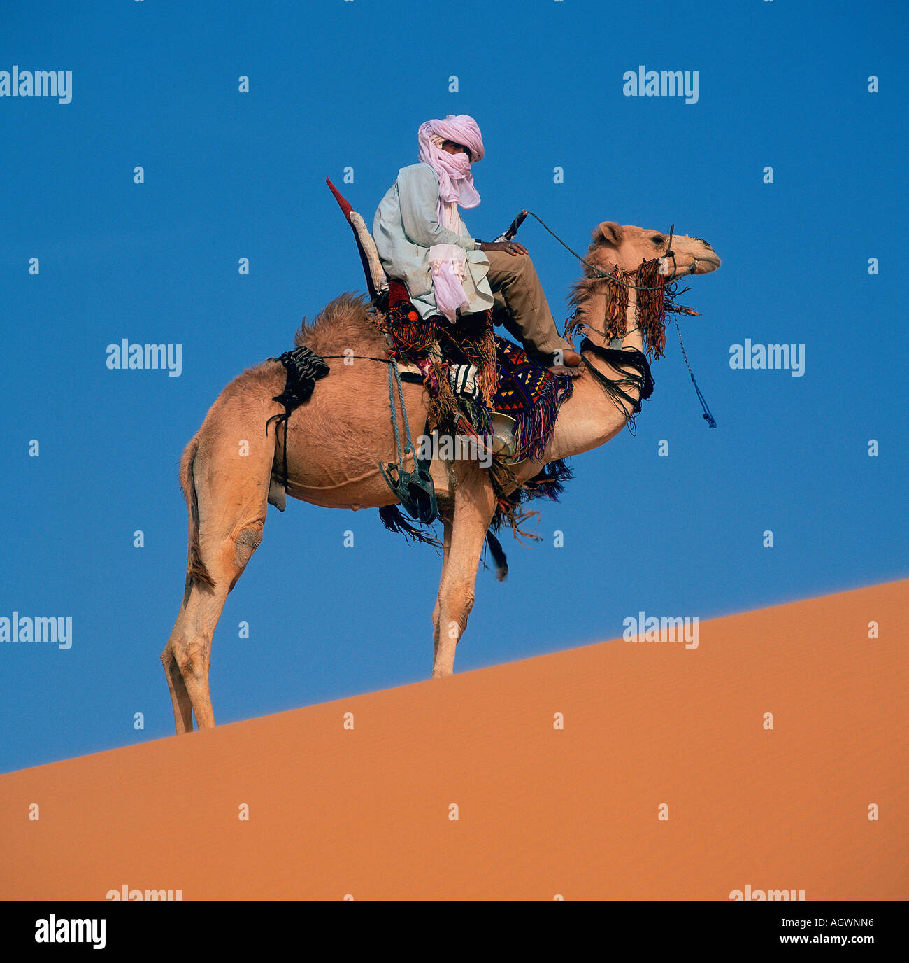 Touareg On His Camel Stockfotos und bilder Kaufen Alamy