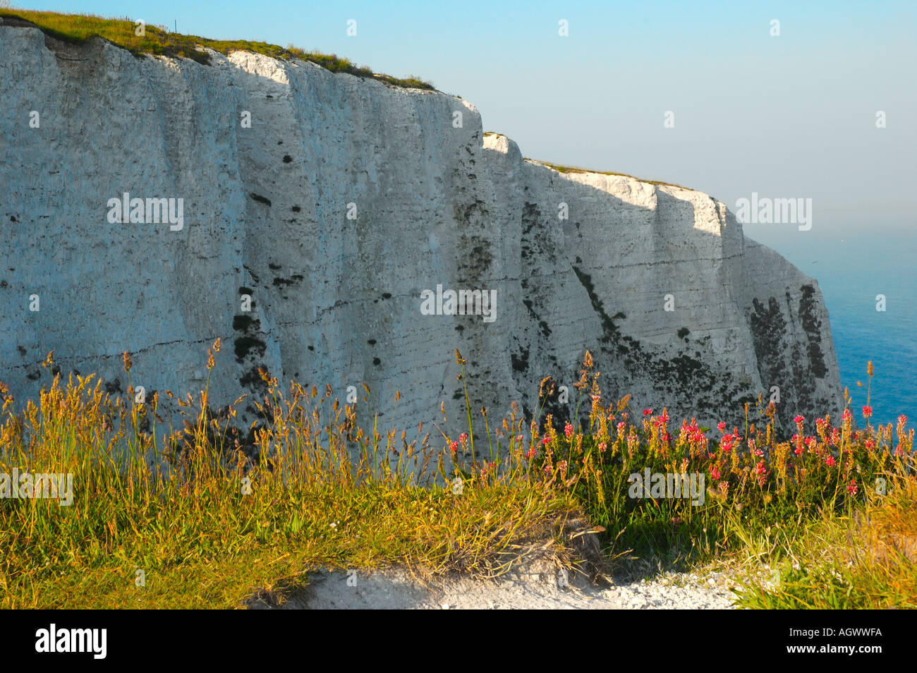 Weißen Klippen von Dover, Kent, England, UK, GB. Stockfoto
