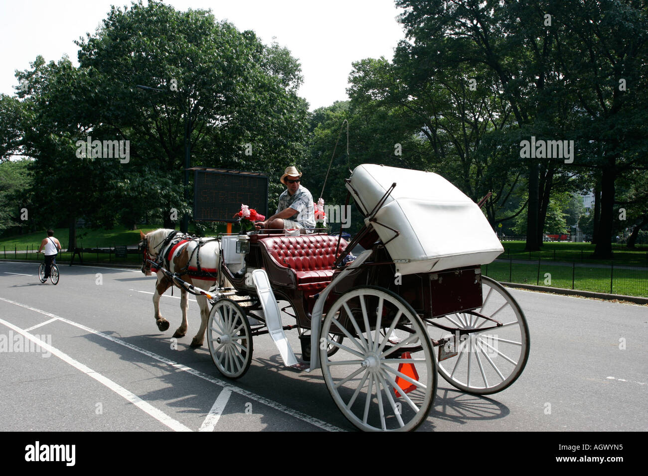 Pferdekutsche im Central Park, Manhattan, New York, USA Stockfoto