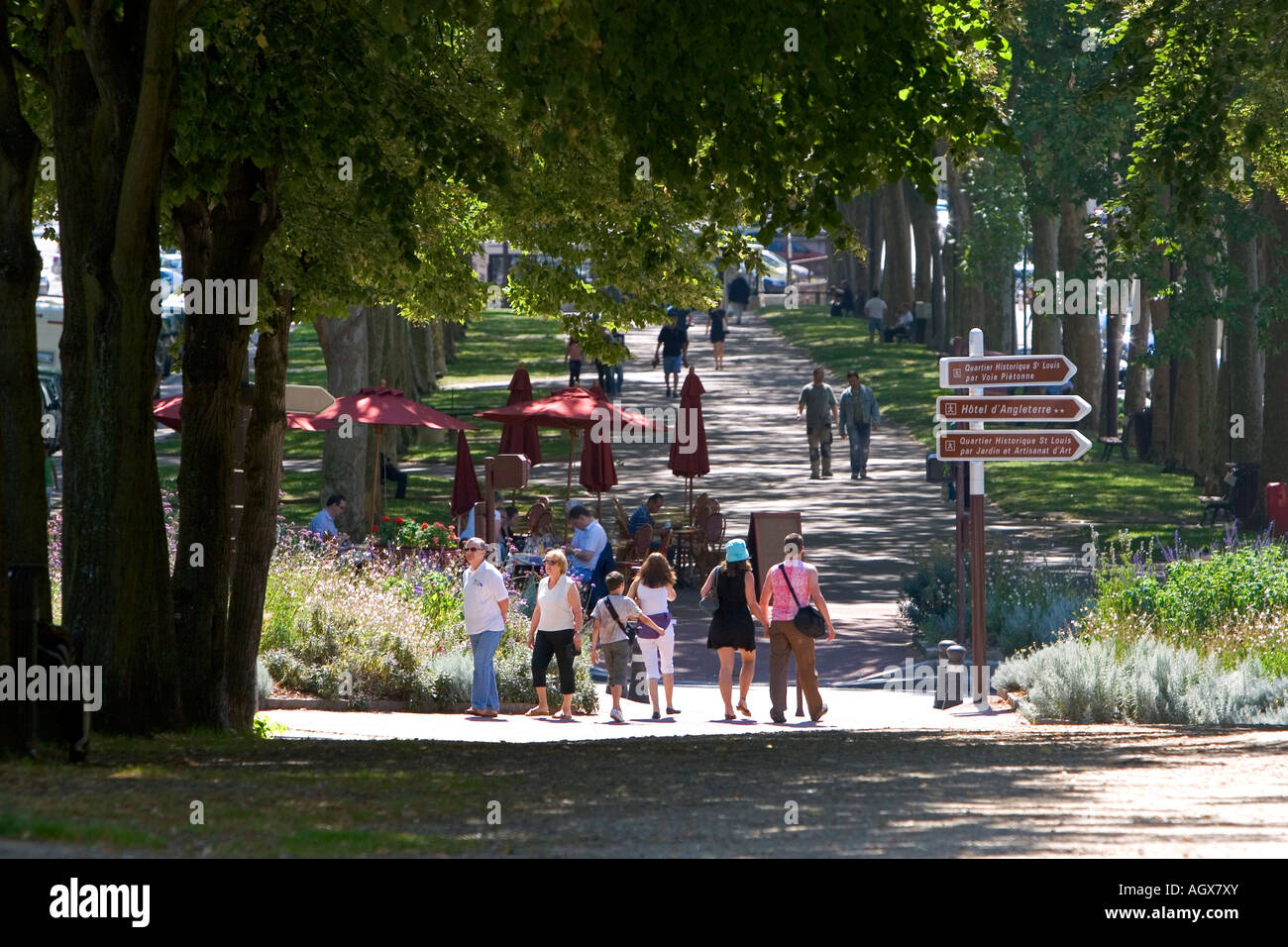 Menschen gehen auf von Bäumen gesäumten Wege in Versailles im Département Yvelines Frankreich Stockfoto