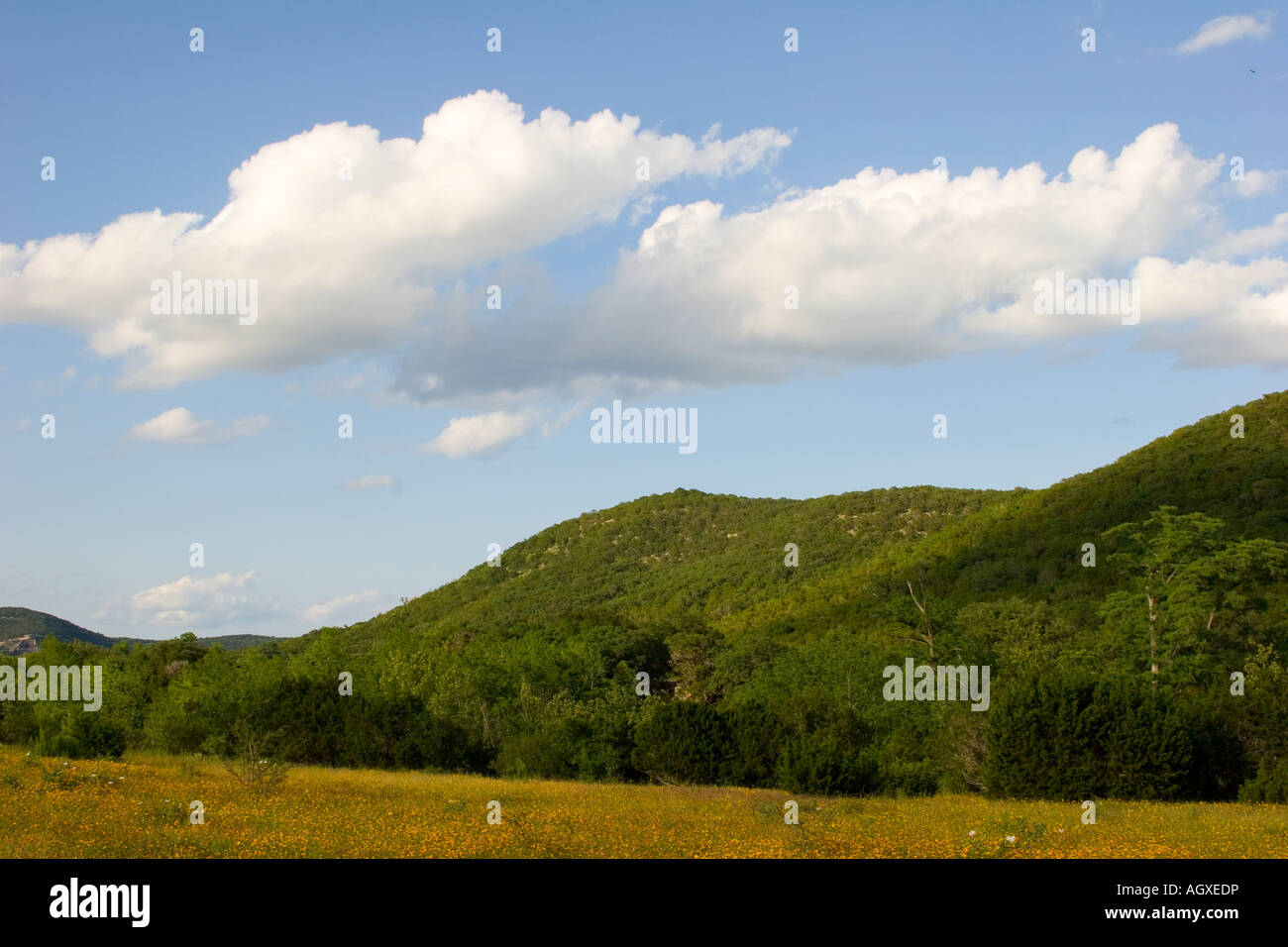 Hill Country Landschaft in Zentral-Texas-USA Stockfoto