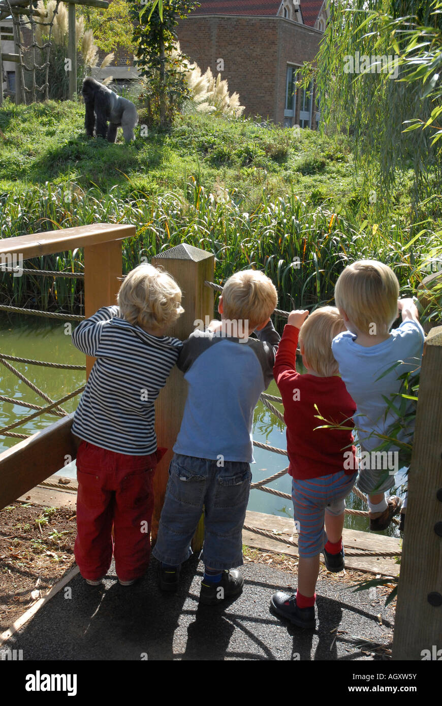 Kinder stehen auf einer Aussichtsplattform und beobachten einen Silverback gorilla Stockfoto