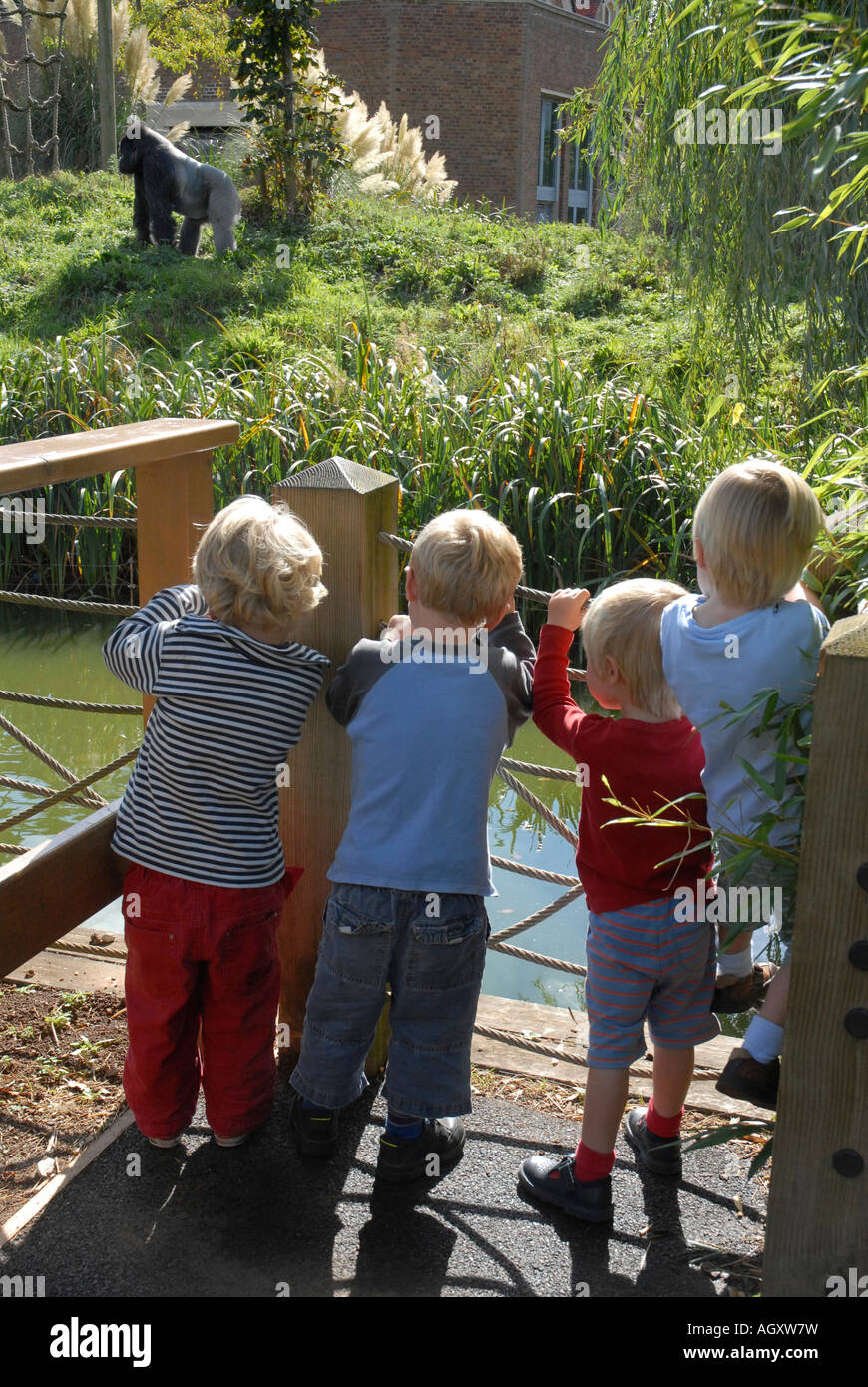Kinder stehen auf einer Aussichtsplattform und beobachten einen Silverback gorilla Stockfoto