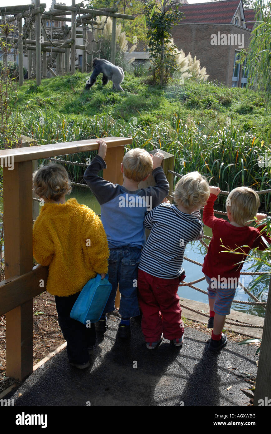 Kinder stehen auf einer Aussichtsplattform und beobachten einen Silverback gorilla Stockfoto